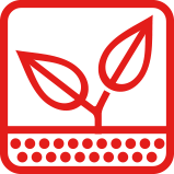 Plant Nutrition